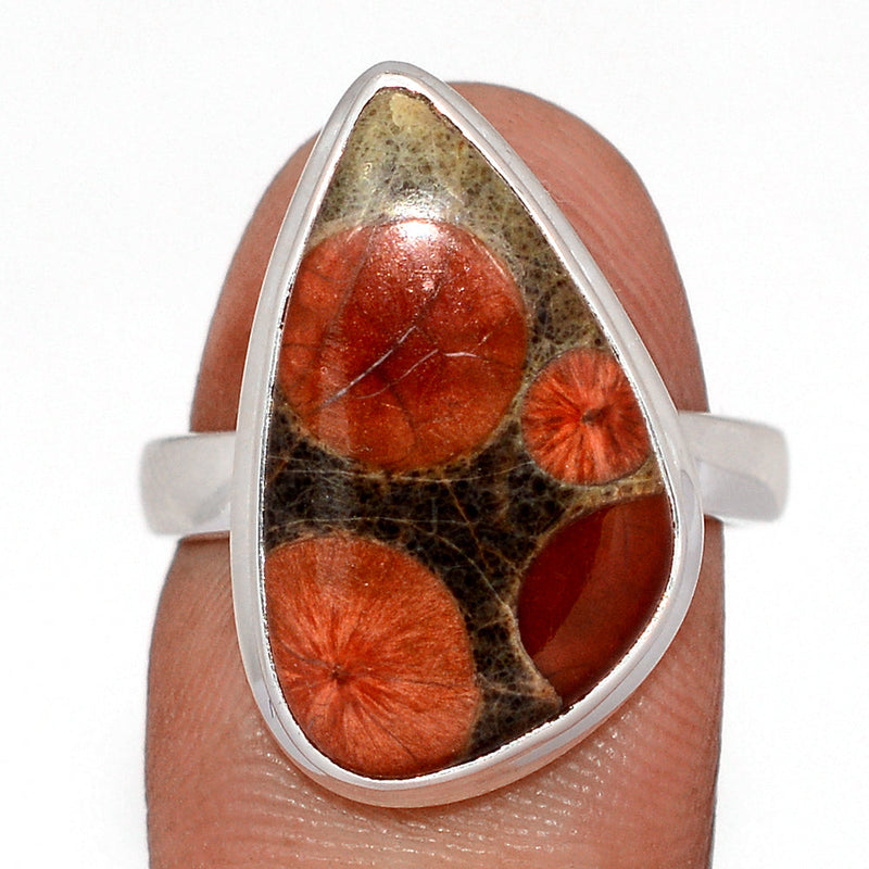 Peanut Obsidian Ring - PNOR271