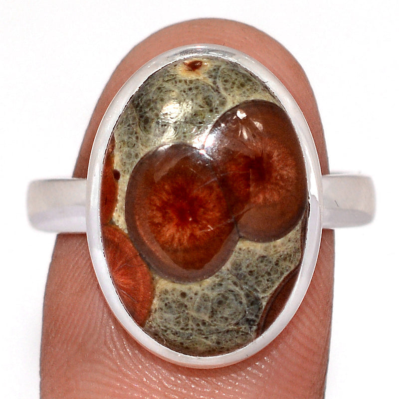 Peanut Obsidian Ring - PNOR273