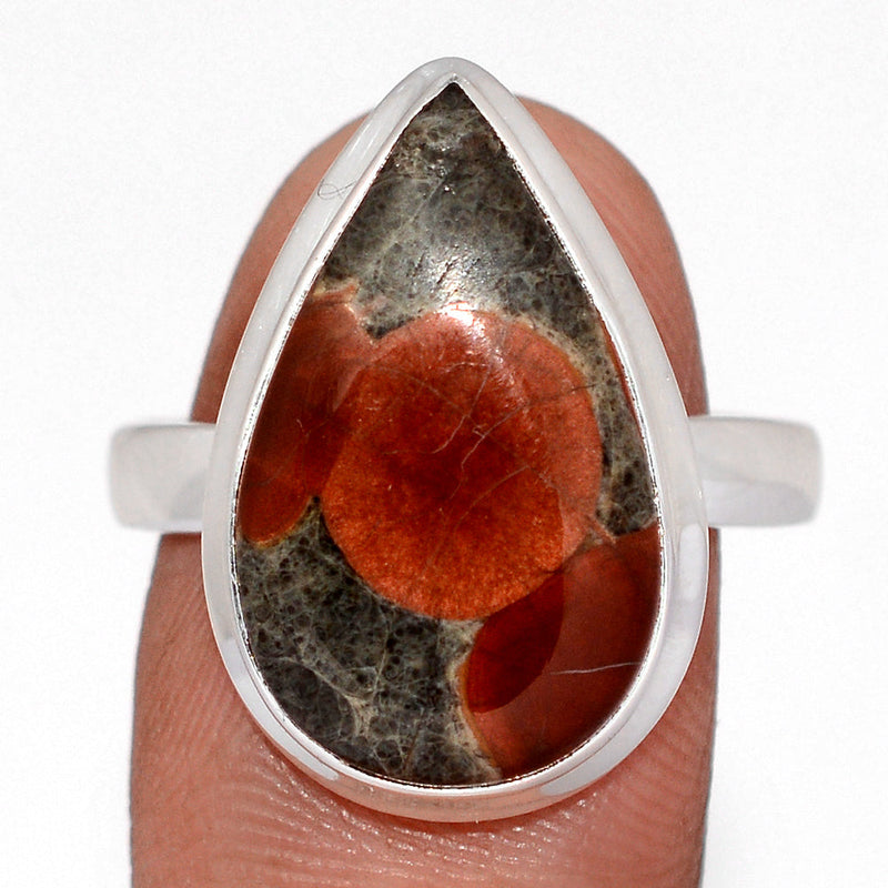 Peanut Obsidian Ring - PNOR281