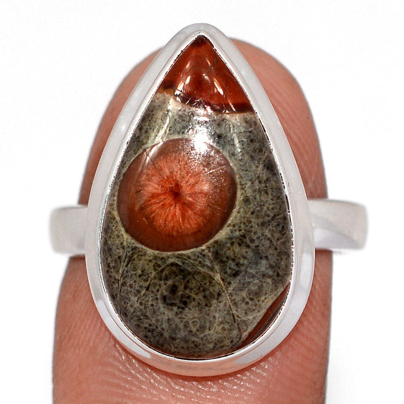 Peanut Obsidian Ring - PNOR284