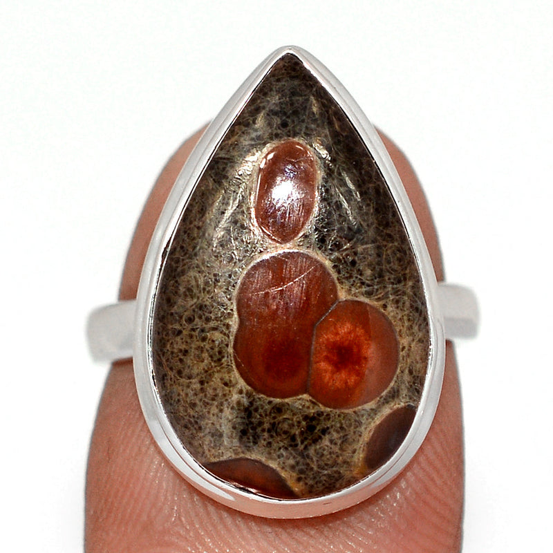 Peanut Obsidian Ring - PNOR285
