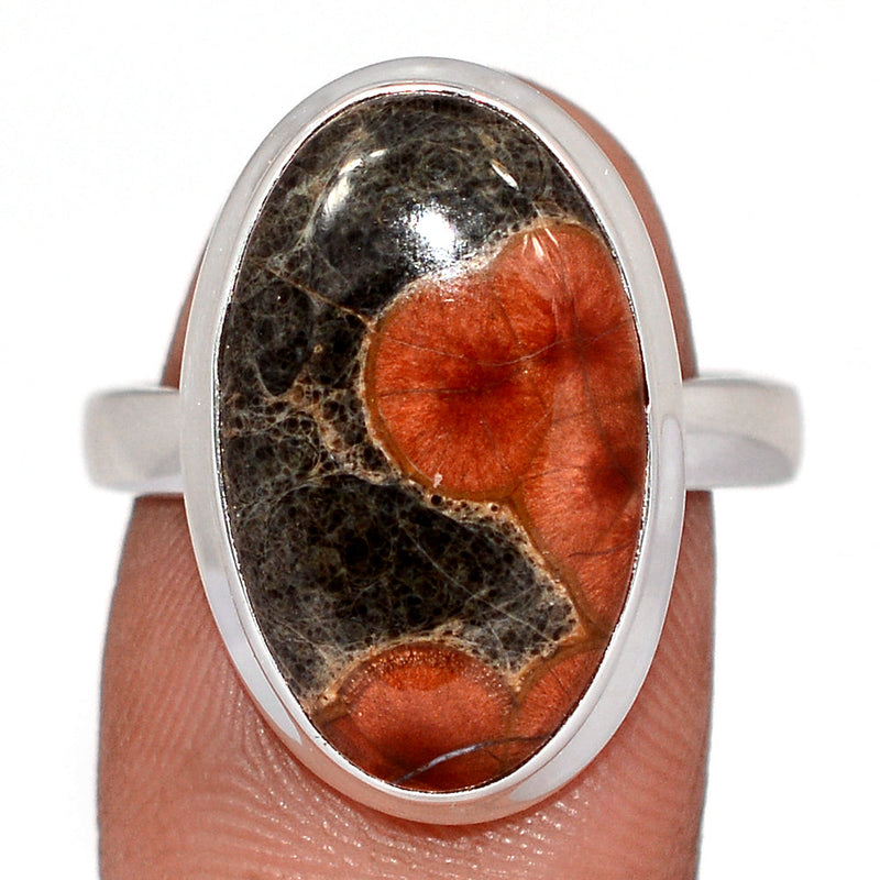 Peanut Obsidian Ring - PNOR291