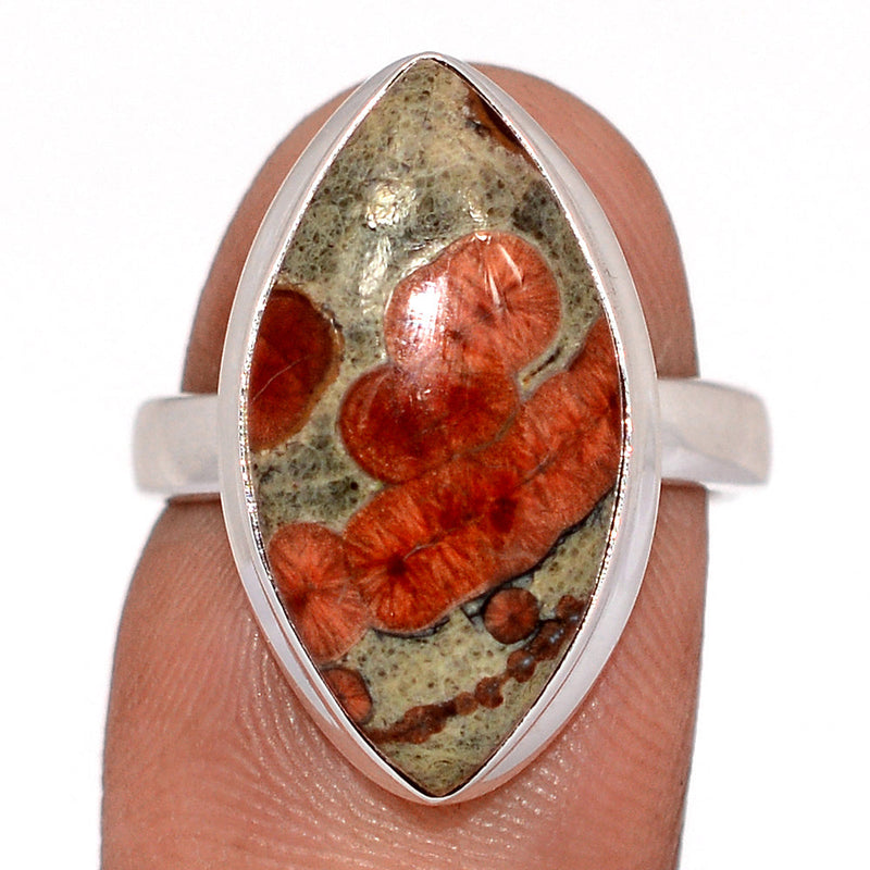 Peanut Obsidian Ring - PNOR294