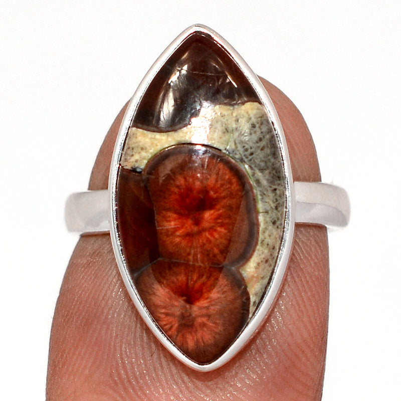 Peanut Obsidian Ring - PNOR296