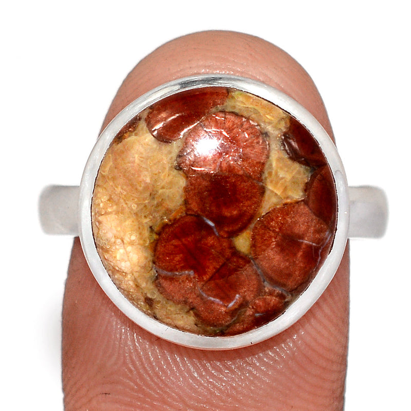 Peanut Obsidian Ring - PNOR299