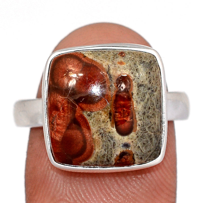 Peanut Obsidian Ring - PNOR302