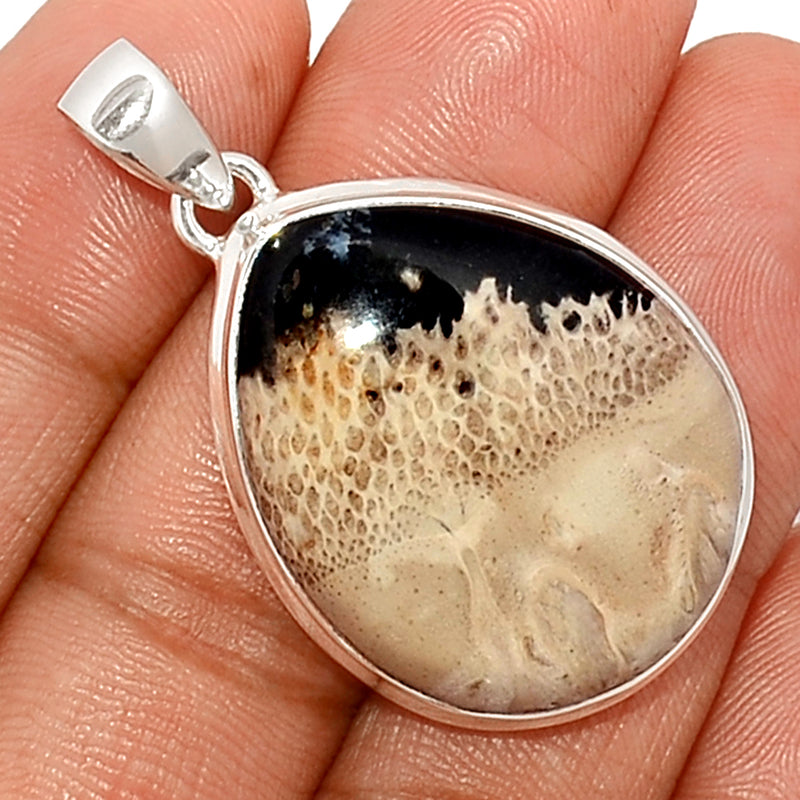 1.6" Petrified Palm Wood Pendants - PPWP2