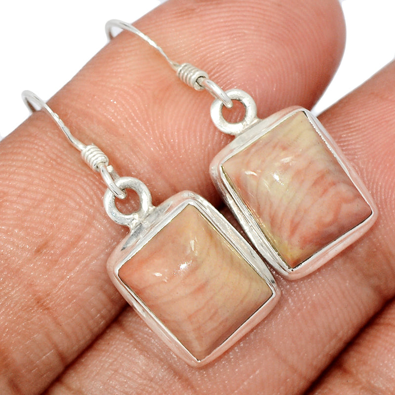 1.2" Petrified Wood Cabochon Earrings - PWCE16