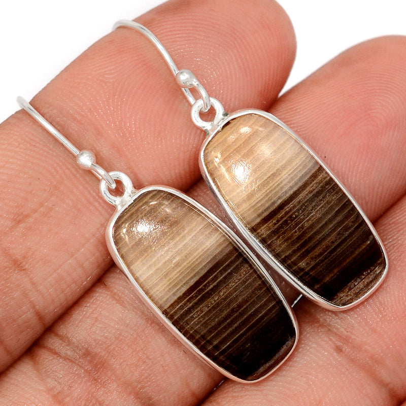 1.6" Petrified Wood Cabochon Earrings - PWCE30