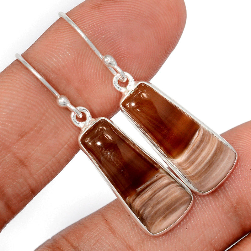 1.6" Petrified Wood Cabochon Earrings - PWCE36