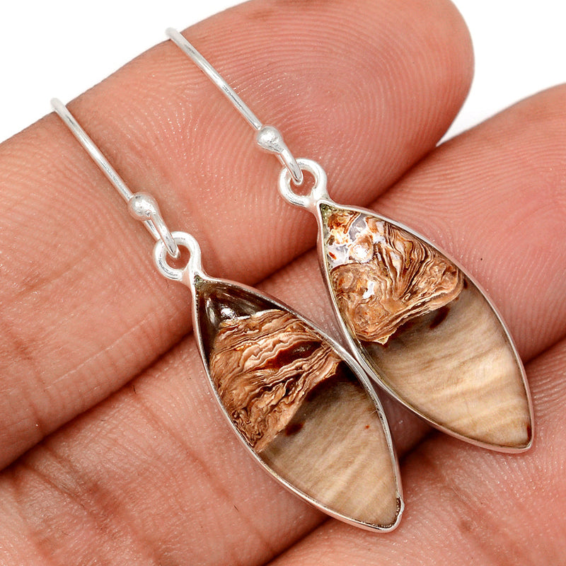 1.6" Petrified Wood Cabochon Earrings - PWCE38