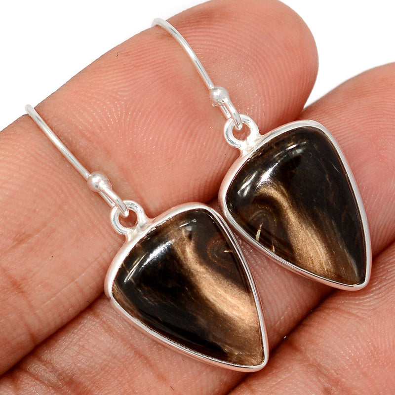 1.5" Petrified Wood Cabochon Earrings - PWCE41