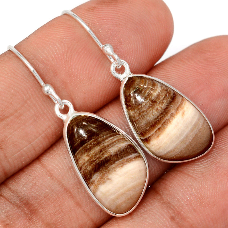 1.5" Petrified Wood Cabochon Earrings - PWCE44
