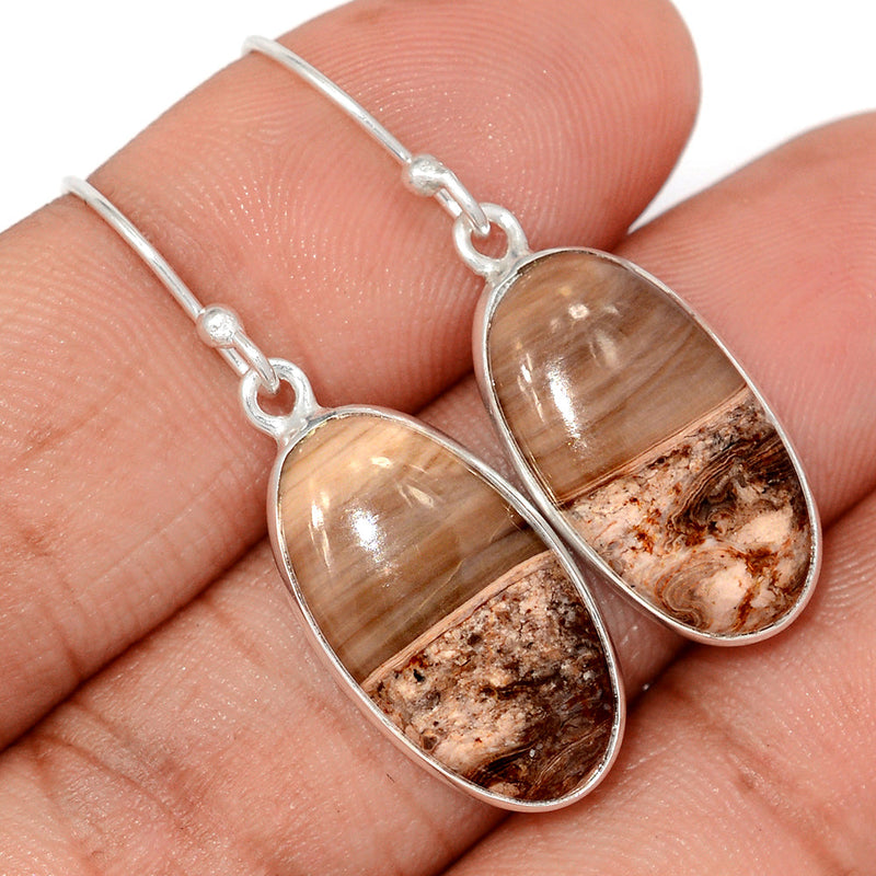 1.5" Petrified Wood Cabochon Earrings - PWCE47