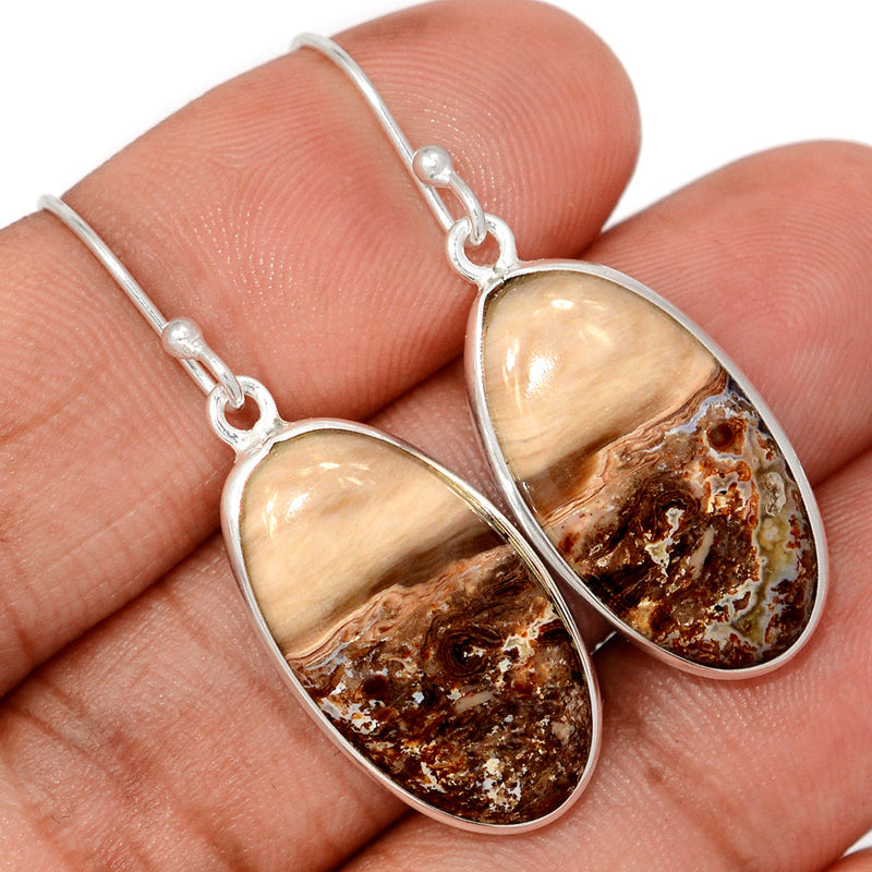1.6" Petrified Wood Cabochon Earrings - PWCE48