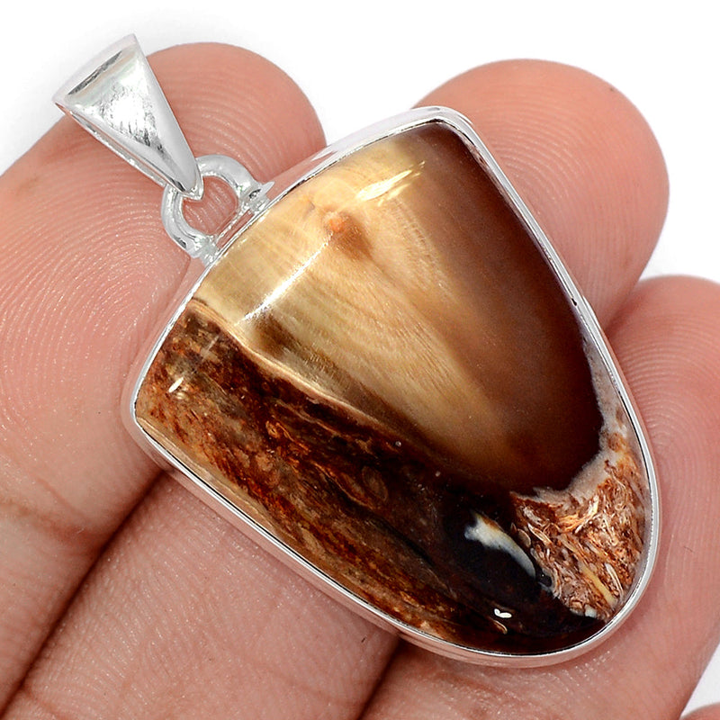 1.6" Petrified Wood Cabochon Pendants - PWCP139
