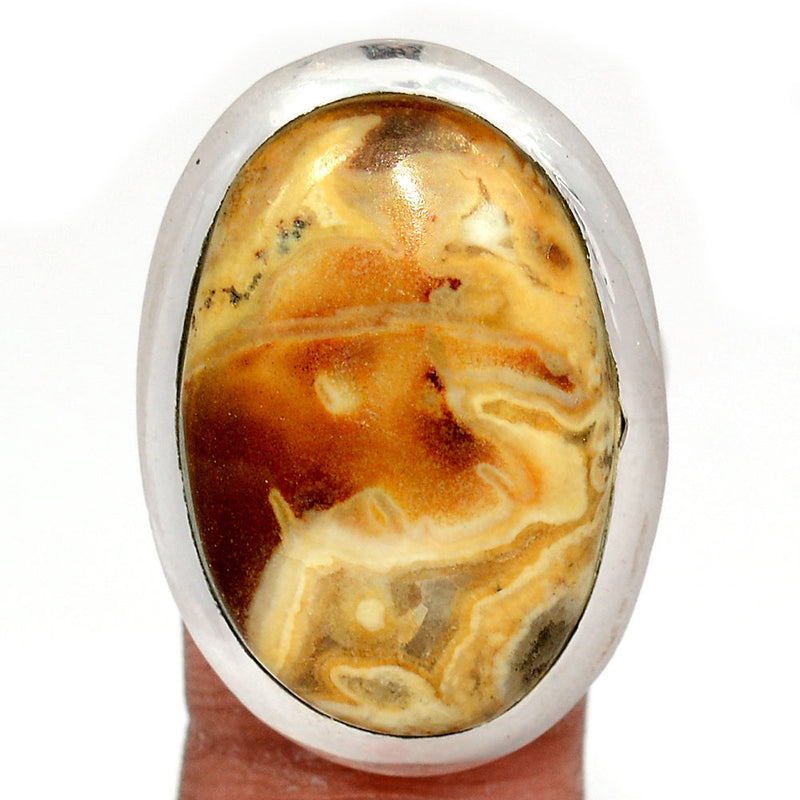 Petrified Wood Cabochon Ring - PWCR55