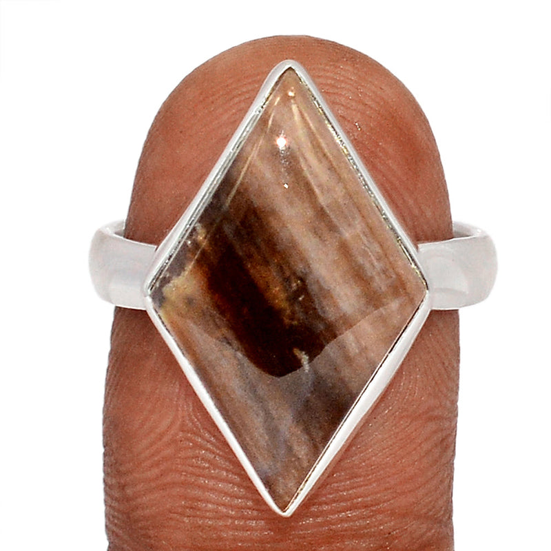 Petrified Wood Cabochon Rings - PWCR58