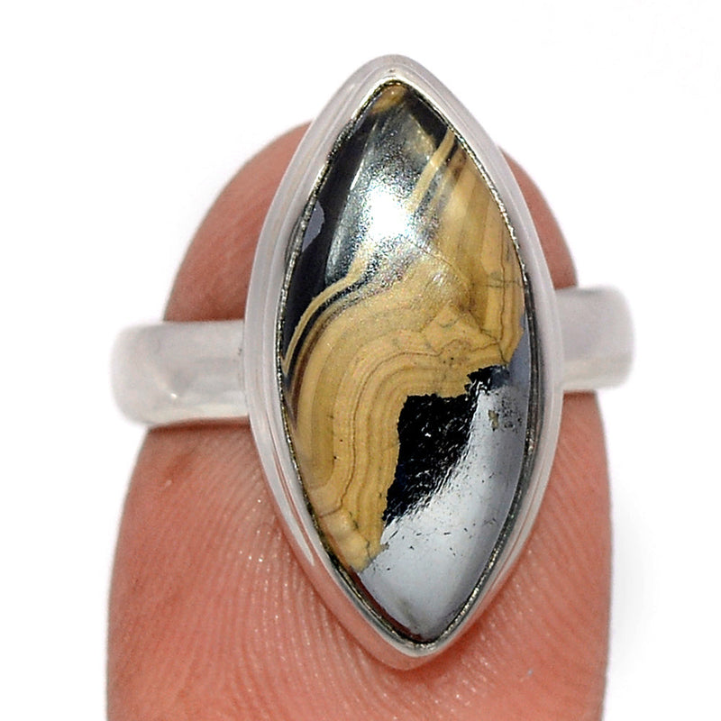 Schalenblende Ring - SCBR176