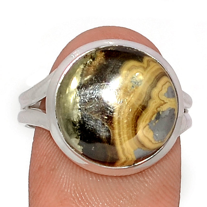 Schalenblende Ring - SCBR222