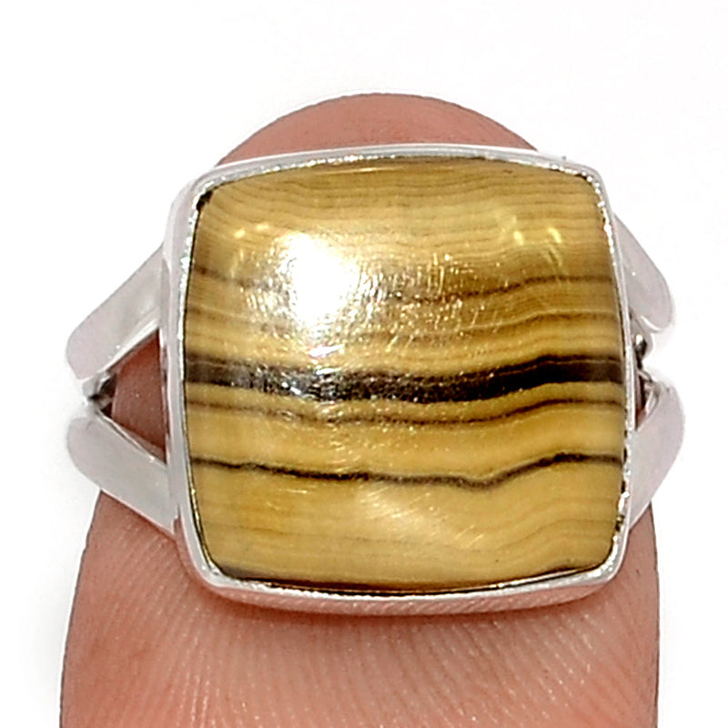 Schalenblende Ring - SCBR238