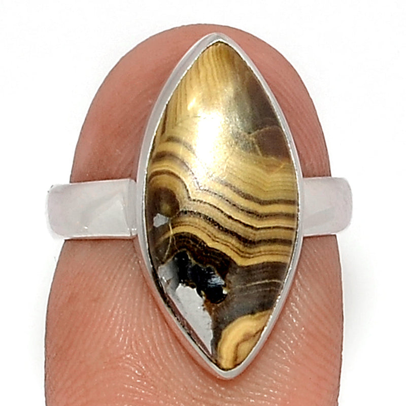 Schalenblende Ring - SCBR243