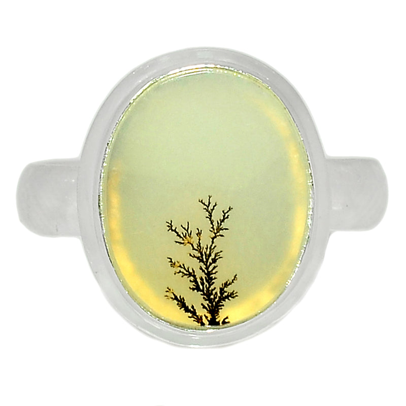 Scenic Dendritic Agate Ring - SDAR1669