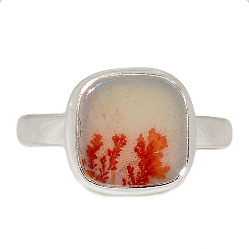 Scenic Dendrite Agate Ring - SDAR1939