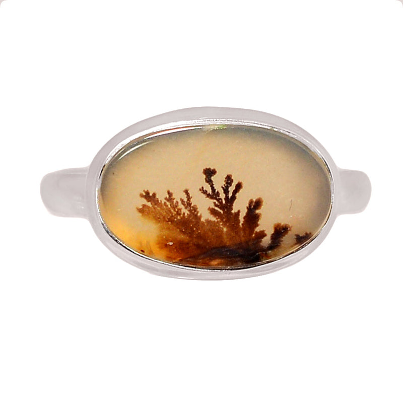 Scenic Dendritic Agate Ring - SDAR1990