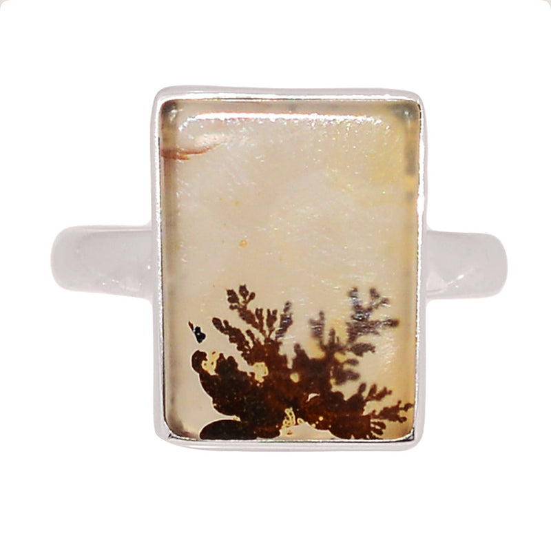 Scenic Dendritic Agate Ring - SDAR1993