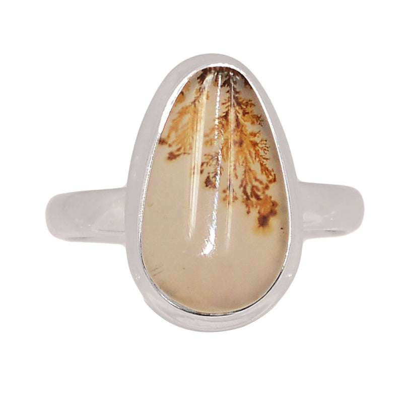 Scenic Dendritic Agate Ring - SDAR1999