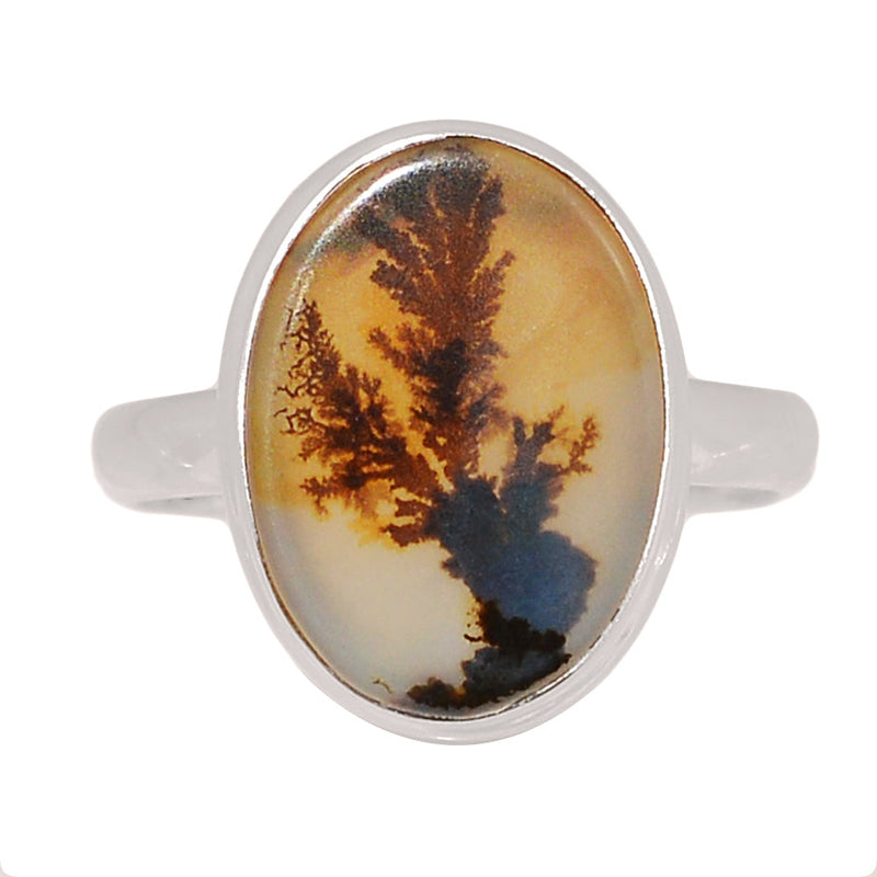 Scenic Dendritic Agate Ring - SDAR2005