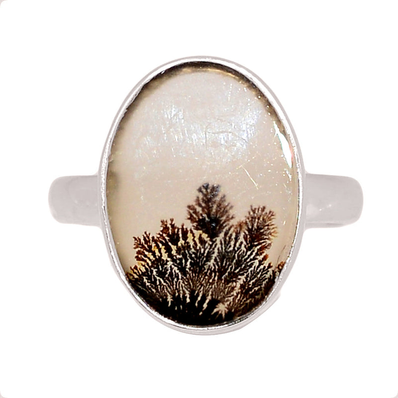 Scenic Dendritic Agate Ring - SDAR2008