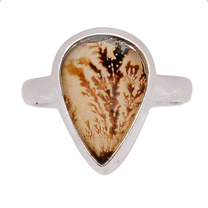 Scenic Dendritic Agate Ring - SDAR2009