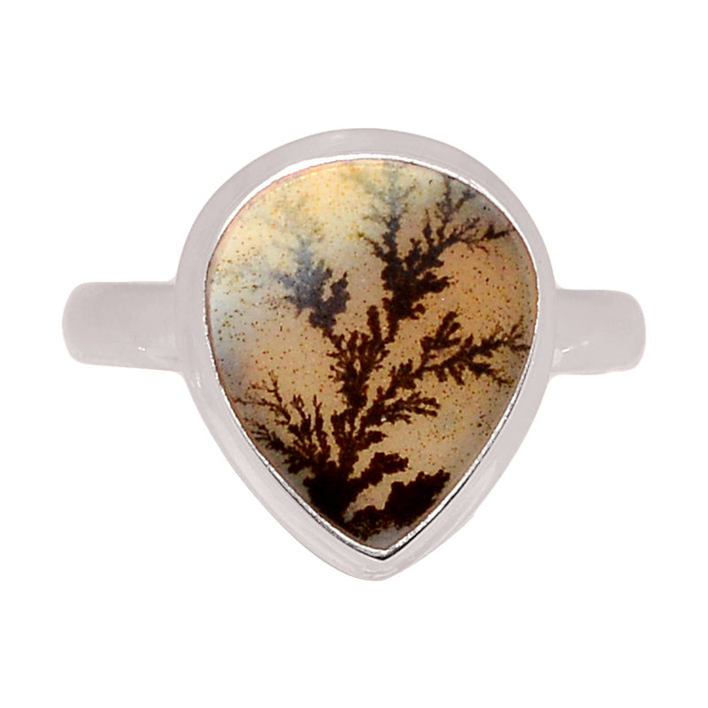 Scenic Dendritic Agate Ring - SDAR2011