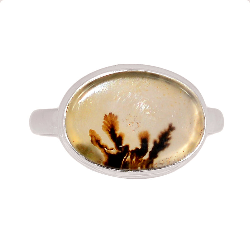 Scenic Dendritic Agate Ring - SDAR2023