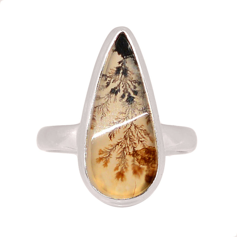 Scenic Dendritic Agate Ring - SDAR2024
