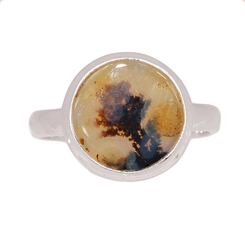 Scenic Dendritic Agate Ring - SDAR2027