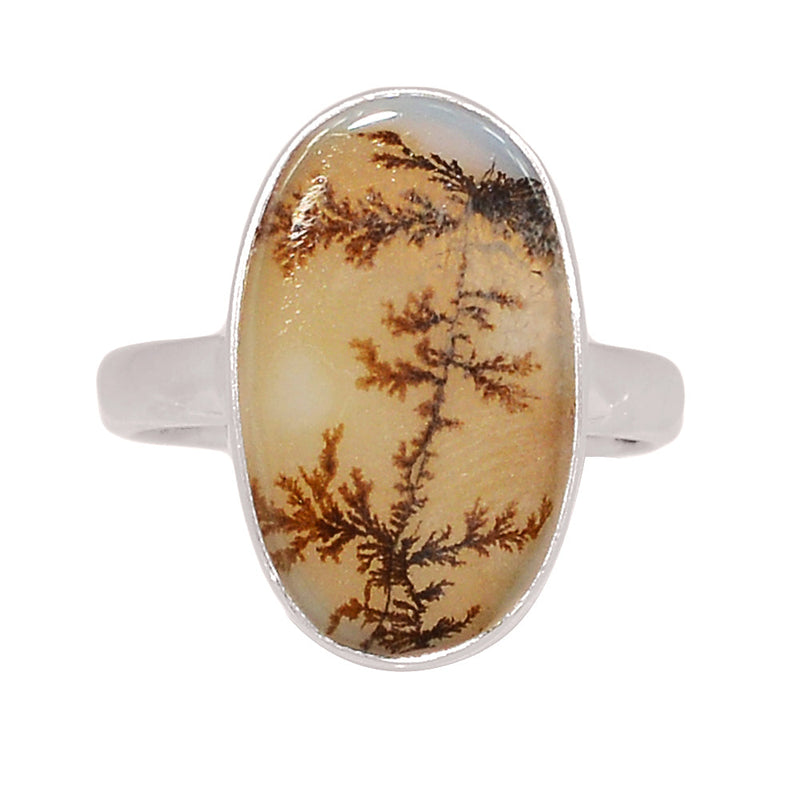 Scenic Dendritic Agate Ring - SDAR2028