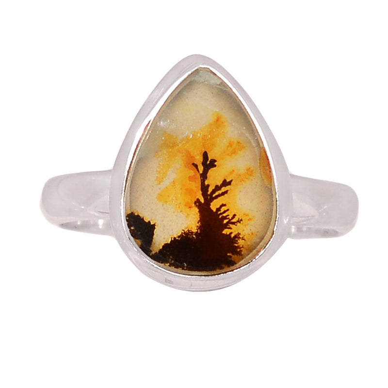 Scenic Dendritic Agate Ring - SDAR2030