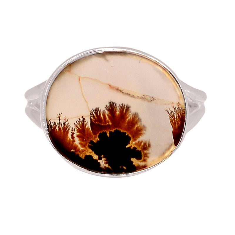 Scenic Dendritic Agate Ring - SDAR2035