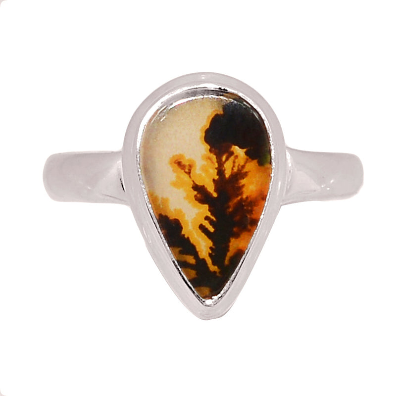 Scenic Dendritic Agate Ring - SDAR2037