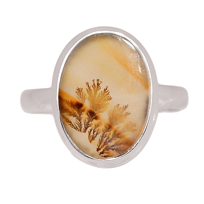 Scenic Dendritic Agate Ring - SDAR2040