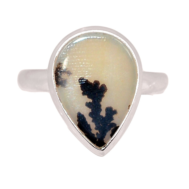 Scenic Dendritic Agate Ring - SDAR2041