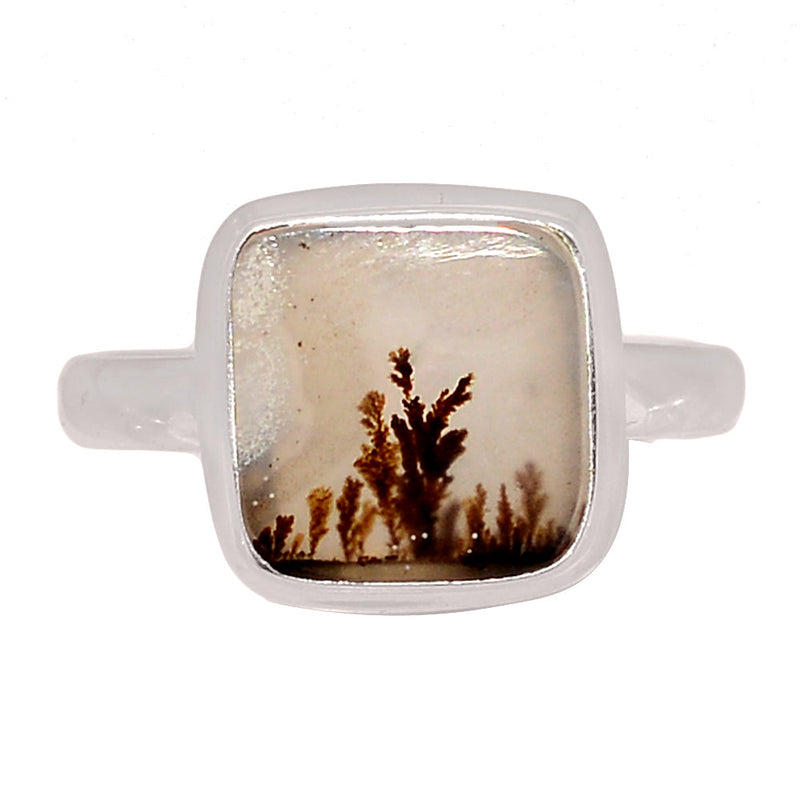 Scenic Dendritic Agate Ring - SDAR2042