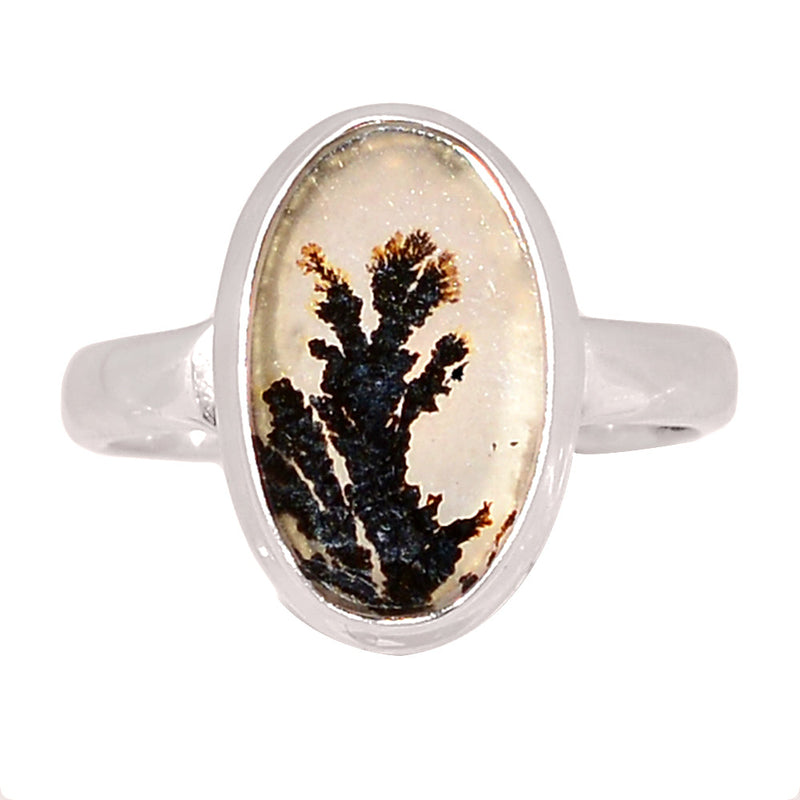 Scenic Dendritic Agate Ring - SDAR2043