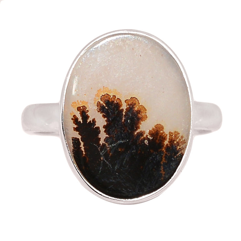 Scenic Dendritic Agate Ring - SDAR2045