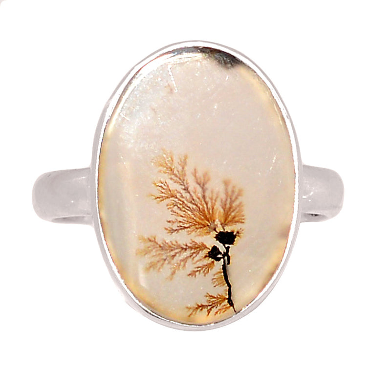 Scenic Dendritic Agate Ring - SDAR2046
