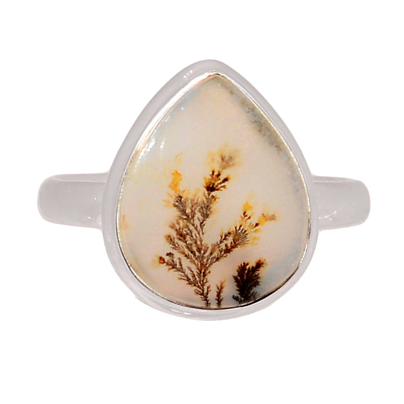 Scenic Dendritic Agate Ring - SDAR2050