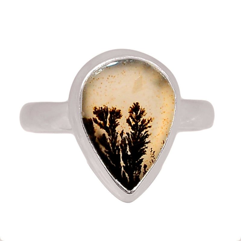Scenic Dendritic Agate Ring - SDAR2051